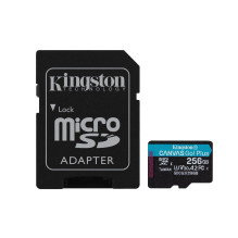 Kingston Technology 256GB...