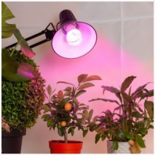 Visional LED lemputė E27 15W augalams / Fito lemputė