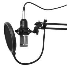 Mikrofonas su priedų rinkiniu STUDIJA IR STRAUMAVIMO MICROPHONE MT397S