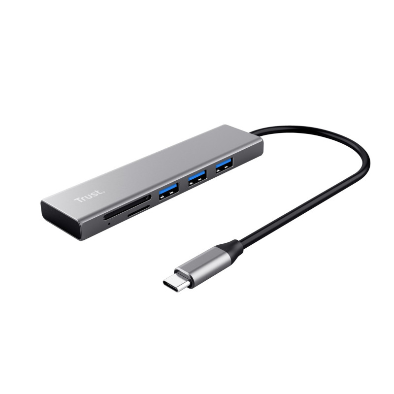 Pasitikėkite Halyx USB 3.2 Gen 1 (3.1 Gen 1) Type-C 104 Mbit / s aliuminio