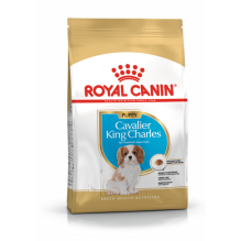 Royal Canin BHN Cavalier...