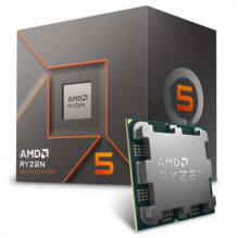 AMD Ryzen 5 8400F procesorius 4,2 GHz 16 MB L3 Box
