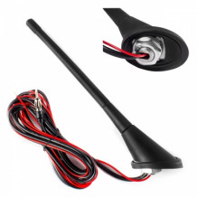 Car antenna with amplifier...