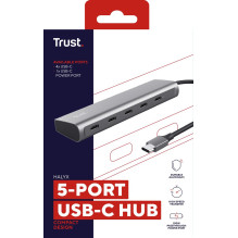 Pasitikėkite Halyx USB 3.2 Gen 1 (3.1 Gen 1) Type-C Silver