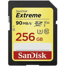 MEMORY SDXC 256GB UHS-1 / SDSDXVV-256G-GNCIN SANDISK