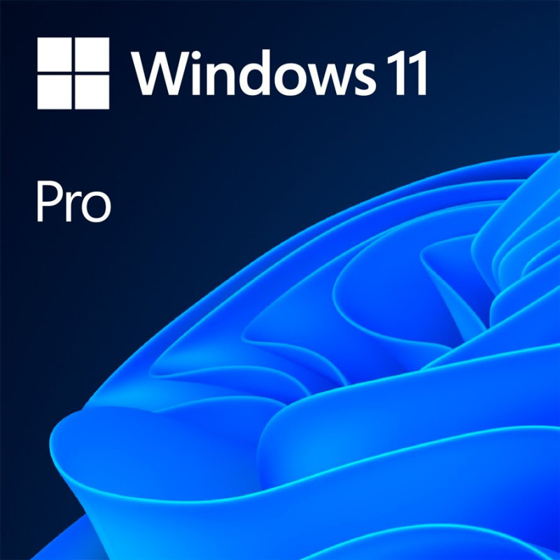 Windows 11 Professional 64 bitų anglų tarptautinis 1pk DSP OEI DVD