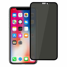 LCD protective glass Full Privacy Apple iPhone X / XS / 11 Pro black