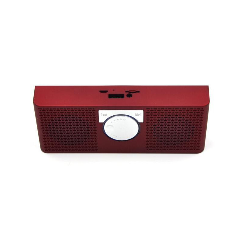 portable speaker with usb and bluetooth