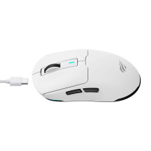 Wireless Gaming Mouse Havit MS969WB