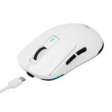 Wireless Gaming Mouse Havit MS969WB