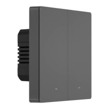 Smart Scene Wall Switch Sonoff M5 2C (2-channel)