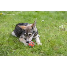 KERBL Rugby ToyFastic - Dog toy - 12cm