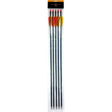 Poe Lang 28' fibreglass arrows - set of 5 (D-055-B3)