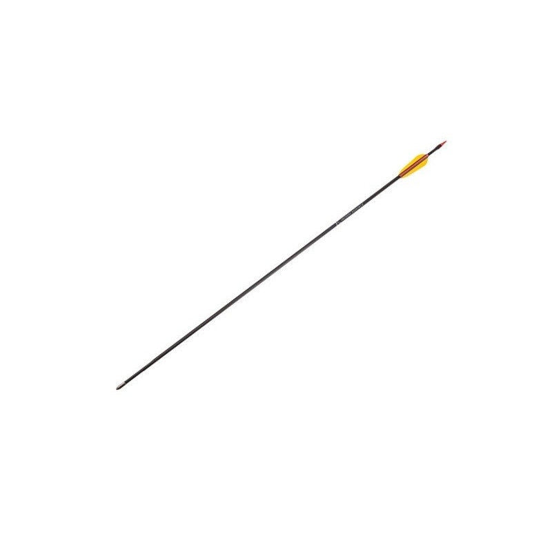 Fibreglass arrows 30' - set of 5 pieces (VD-065K)