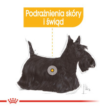 ROYAL CANIN Mini Dermacomfort - sausas maistas suaugusiems mažų veislių šunims su jautria oda, linkusi į dirginimą - 3kg