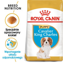 Royal Canin BHN Cavalier King Charles Spaniel Puppy - sausas šuniukų maistas - 1,5 kg