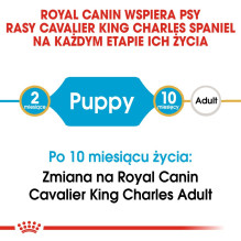 Royal Canin BHN Cavalier King Charles Spaniel Puppy - sausas šuniukų maistas - 1,5 kg