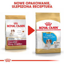 Royal Canin BHN Cavalier King Charles Spaniel Puppy - sausas šuniukų maistas - 1,5 kg