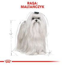 ROYAL CANIN Maltese Adult - sausas šunų maistas - 1,5 kg