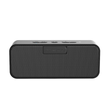 Tronsmart Element T2 Plus Patobulinta 20W Bluetooth 5.3 belaidė garsiakalbė – juoda