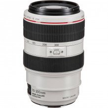 Canon EF 70-300mm f/ 4-5.6L IS USM