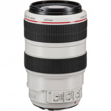 Canon EF 70-300mm f/ 4-5.6L IS USM