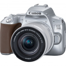 Canon EOS 250D 18-55mm IS STM (Silver)