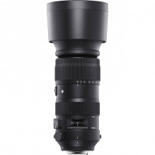 Sigma 60-600mm F4.5-6.3 DG OS HSM | Sports | Canon EF mount