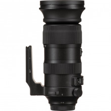 Sigma 60-600mm F4.5-6.3 DG OS HSM | Sports | Canon EF mount