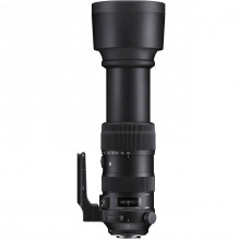 Sigma 60-600mm F4.5-6.3 DG OS HSM | Sports | Nikon F mount