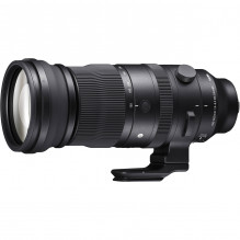 Sigma 150-600mm F5-6.3 DG DN OS | Sports | Sony E-mount