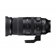 Sigma 150-600mm F5-6.3 DG DN OS | Sports | Sony E-mount