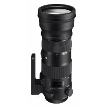 Sigma 150-600mm F5-6.3 DG OS HSM | Sports | Nikon F mount