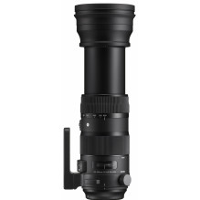 Sigma 150-600mm F5-6.3 DG OS HSM | Sports | Nikon F mount