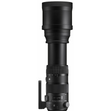 Sigma 150-600mm F5-6.3 DG OS HSM | Sports | Nikon F mount