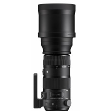 Sigma 150-600mm F5-6.3 DG OS HSM | Sports | Nikon F mount