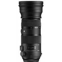 Sigma 150-600mm F5-6.3 DG OS HSM | Sports | Nikon F mount