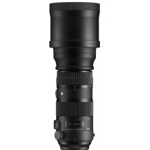 Sigma 150-600mm F5-6.3 DG OS HSM | Sports | Nikon F mount