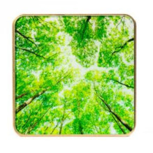 SMART HOME AIR QUALITY SENSOR / GOLD / TREE AIRV-TREE AIRVALENT