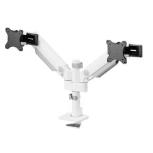 MONITOR ACC DESK MOUNT 24-34'' / DUAL DS65S-950WH2 NEOMOUNTS