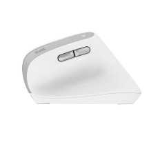 MOUSE USB OPTICAL WRL BAYO II / ERGO WHT 25398 TRUST