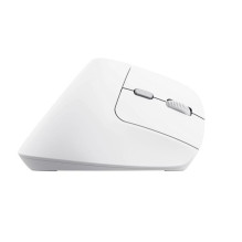 MOUSE USB OPTICAL WRL BAYO II / ERGO WHT 25398 TRUST