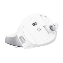 MOUSE USB OPTICAL WRL BAYO II / ERGO WHT 25398 TRUST