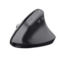 MOUSE USB OPTICAL WRL BAYO+...