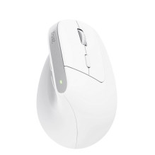 MOUSE USB OPTICAL WRL BAYO+ / ERGONOMIC WHT 25399 TRUST