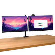 MONITOR ACC ARM DUAL / MARA 25337 TRUST