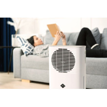 ELDOM Dehumidifier, 2 levels of air circulation, humidity indicator, 24h timer, power 205 W