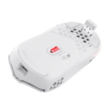 MOUSE USB OPTICAL WRL GXT929W / HELOX LIGHTW WHITE 25390 TRUST