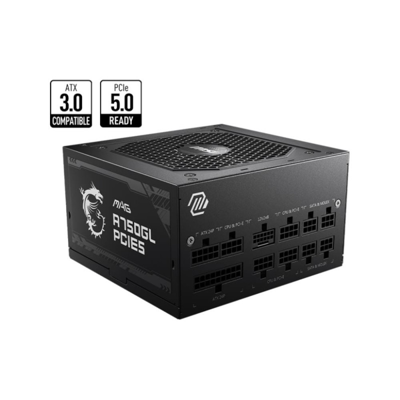 Power Supply, MSI, 750 Watts, Efficiency 80 PLUS GOLD, PFC Active, MAGA750GLPCIE5