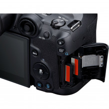 Canon EOS R7 + RF-S 18-150mm F3.5-6.3 IS STM(F/ 3.5-6.3 IS STM) + Mount Adapter EF-EOS R